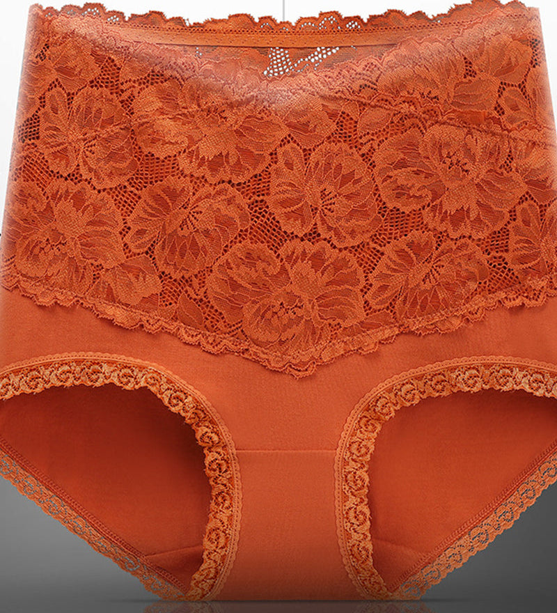 Women's V-shaped High Waist Floral Lace Briefs Sexy Tummy Control Soft Panties