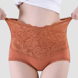 Women's V-shaped High Waist Floral Lace Briefs Sexy Tummy Control Soft Panties