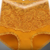 Women's V-shaped High Waist Floral Lace Briefs Sexy Tummy Control Soft Panties