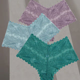 Sexy Floral Lace Lingerie Low rise Plus Size Panties